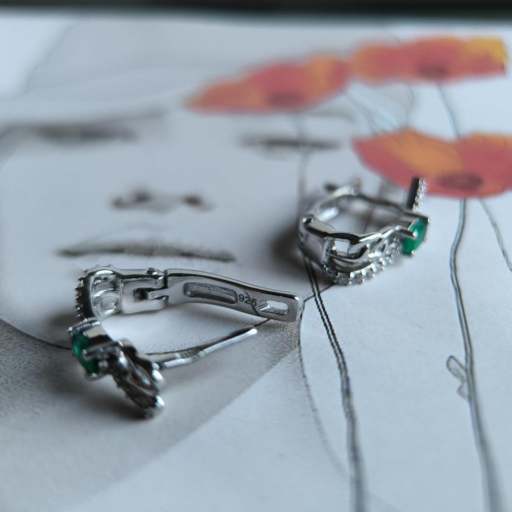 Silver Earrings with Natural Agate 0.73ct (2189534)