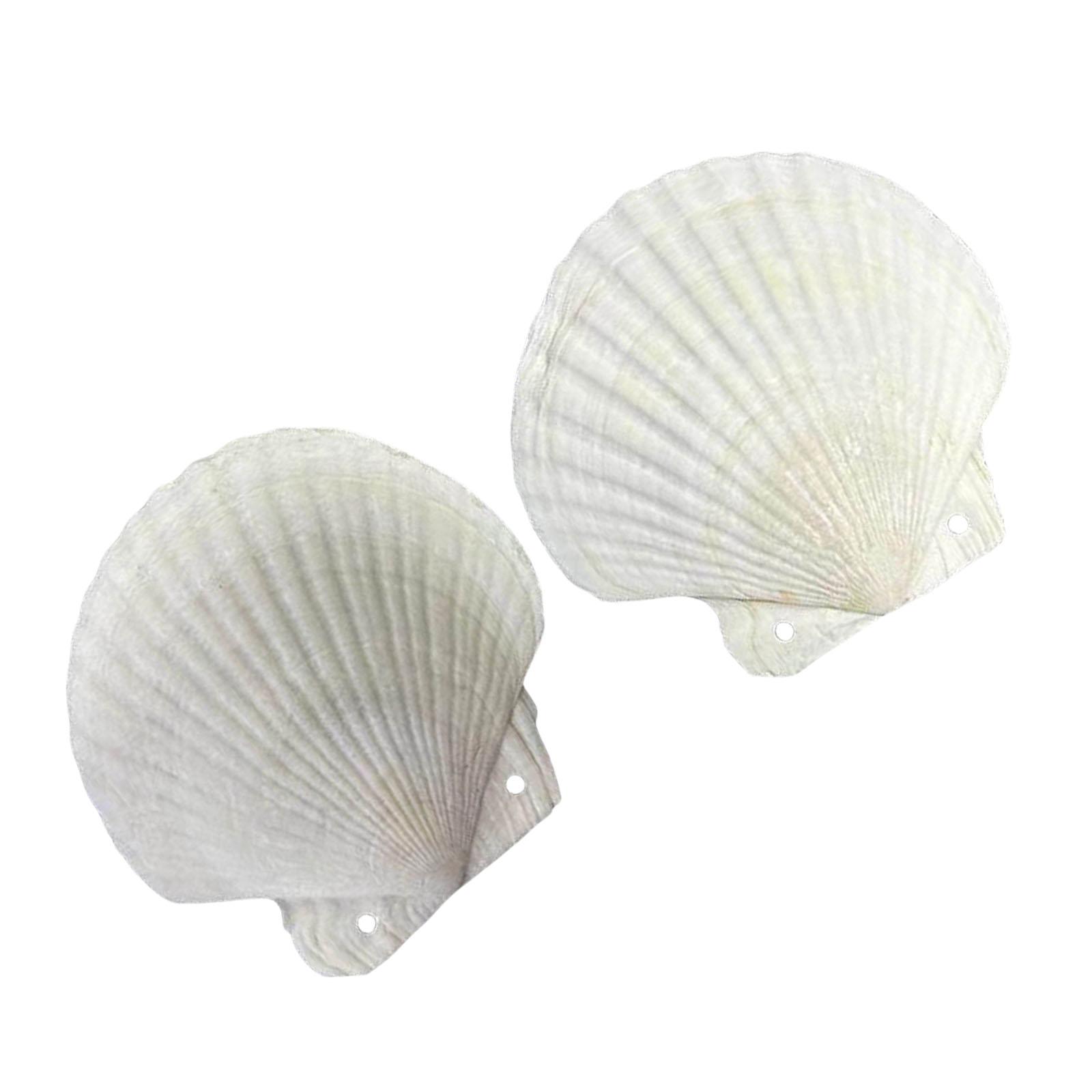 

Маленький журнал в форме ракушки со сменными листами для записей, бумажный блокнот для художественного самовыражения, для ежедневного использования C