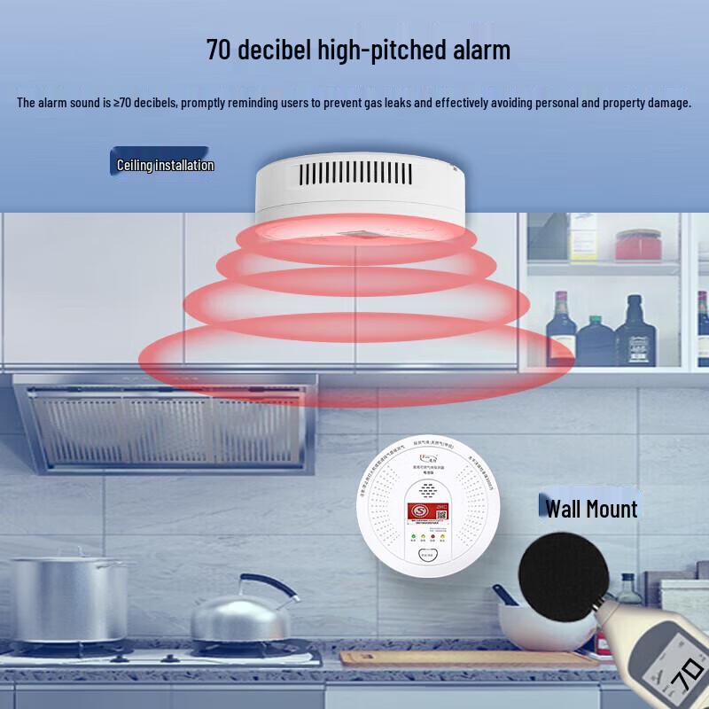Lingfang Smart Natural Gas Detector
