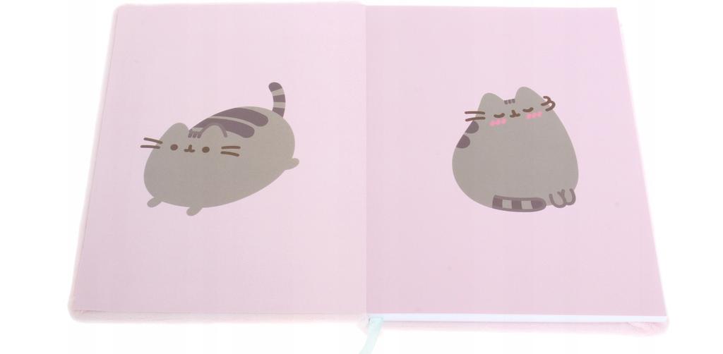 NOTES PLUSZOWY A5 96k. PUSHEEN 2080