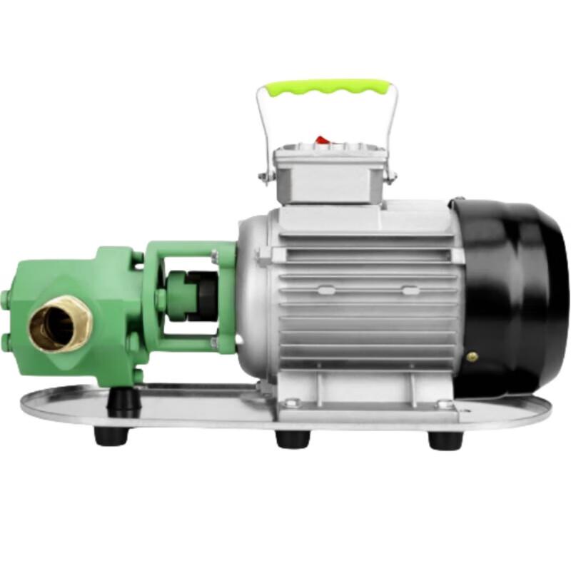 Stainless Steel Electric Oil Pump