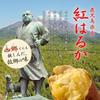 Large Capacity 1kg setKagoshima Prefecture Super valueAged Beni Haruka Dried Sweet Potato Defective Items 250g2 Bags Baked 500g1 bagTotal Popular