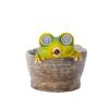 Europäischer Stil Leuchtender Frosch Sukkulenten Blumentopf Solarlampe Ornament Gartendekoration Topfpflanzen Mikro-Handwerk