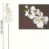1PC of Retro White Orchid Artificial Butterfly Orchid, Long Stem, Ideal for Home and Kitchen Decoration, Desktop Display, Butterfly Orchid Decoration.