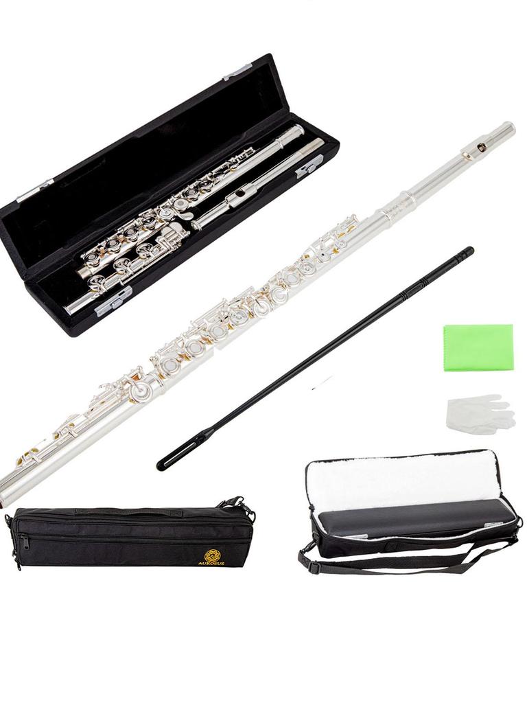 AUROSUS Intermediate Flute Open Hole 17 Key  Offest G French Model B Footjoint with Gizmo  Flute