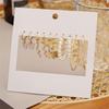 IF ME Trendy Geometirc Gold Round Hoop Earrings Set For Women Big Leopard Resin Hoop Earrings Accessories Jewelry Party