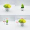 Plastic Succulent Miniature Plant Desert For Home Decor And Office Use