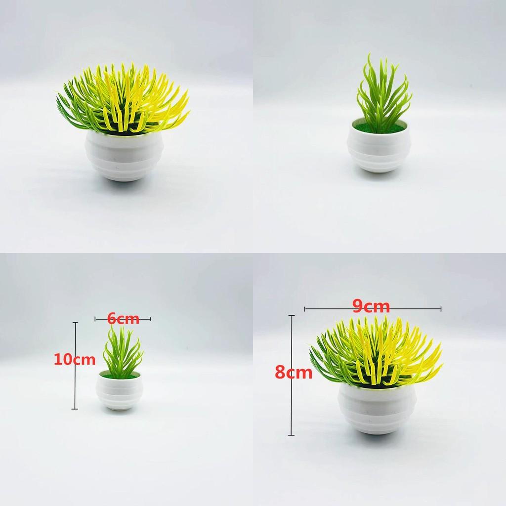 Plastic Succulent Miniature Plant Desert For Home Decor And Office Use