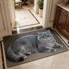 Absorbent Entryway Rug Cat Printed Home Floor Mat Cute Diatomite Door Mat  Porch