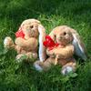 Cute Flower Hug Rabbit Plush Doll Ornament For Girls Bedroom Decor Presents And