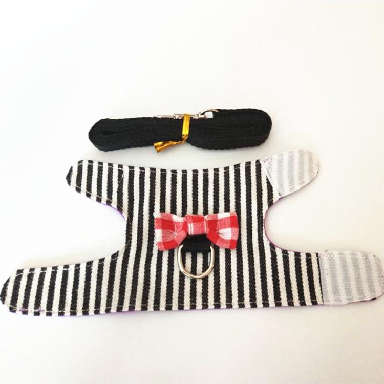 Adjustable Leash and Harness for Small Pets: Rabbit, Chinchilla, Ferret, Squirrel, Hamster, Guinea Pig, Mouse