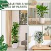 Moss Pole for Climbing Plants Monstera Indoor Plant Supports Plastic Moss Stick Plant Stake for Garden Extension Aid Climbing