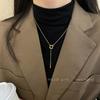 Niche Minimalist Design Titanium Steel Necklace Women's Fashion Light Luxury Temperament Versatile High-end Sweater Chain