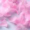 50Pcs Macaron Color Small Feather Small Goose Feather Wedding Festival Event Stage Decoration Gift Box Filling Material