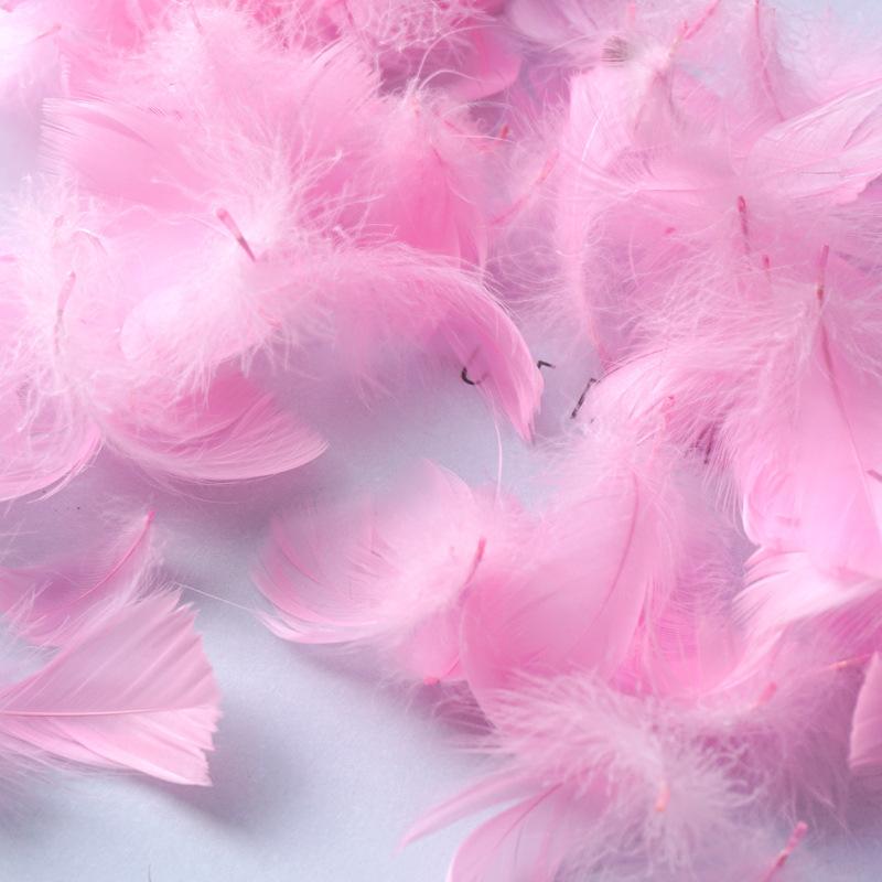 50Pcs Macaron Color Small Feather Small Goose Feather Wedding Festival Event Stage Decoration Gift Box Filling Material