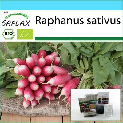 Geschenkset - Bio - Rettich - French Breakfast - 150 Samen - Mit Geschenkbox, Karte, Etikett und Pflanzsubstrat - Raphanus sativus