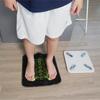 365 Daily Foot Pressure Plate