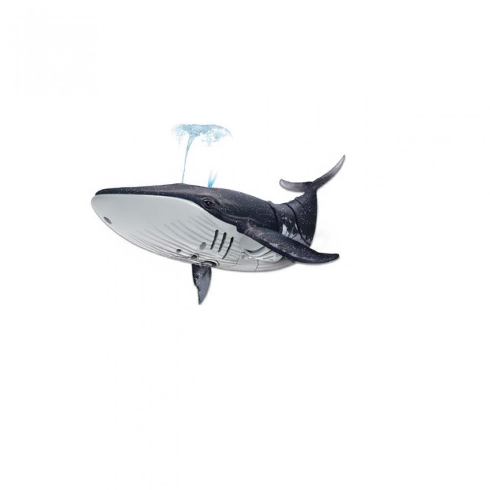     R C Whale  blaCk  Dk 18002 2bk