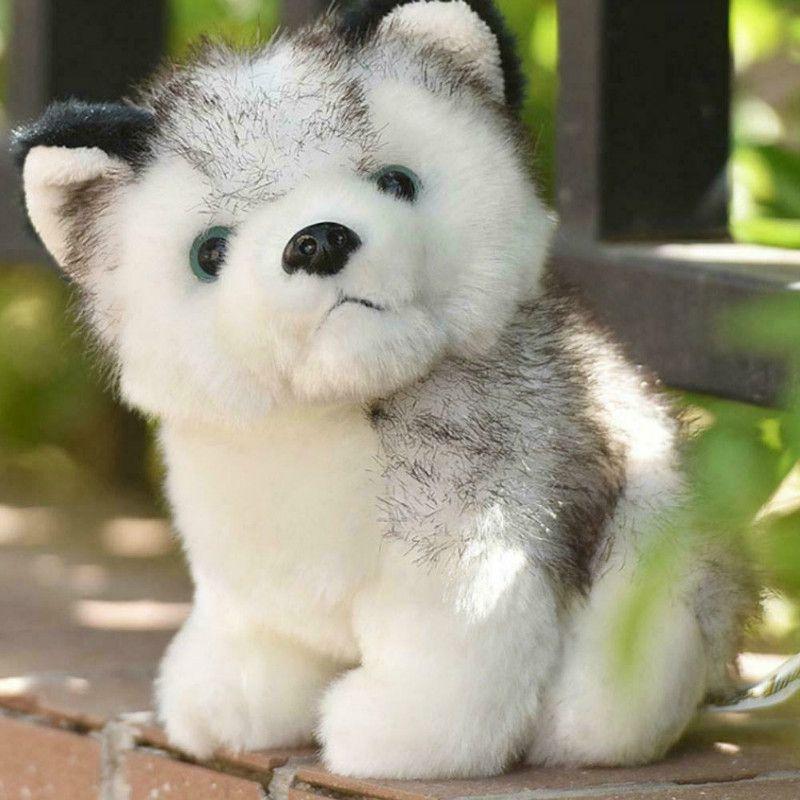Plush Doll Husky Soft Toy Stuffed Animal Cute Dog Christmas Baby Kids Hot Toy