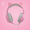 Audio/Video