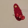Exquisite Chinese Tanghulu Coin Hair Clip – Fashionable, Versatile New Year Accessory for Women
