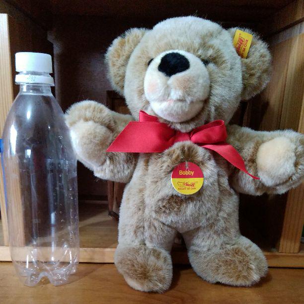 

[USED] Steiff Teddy Bear