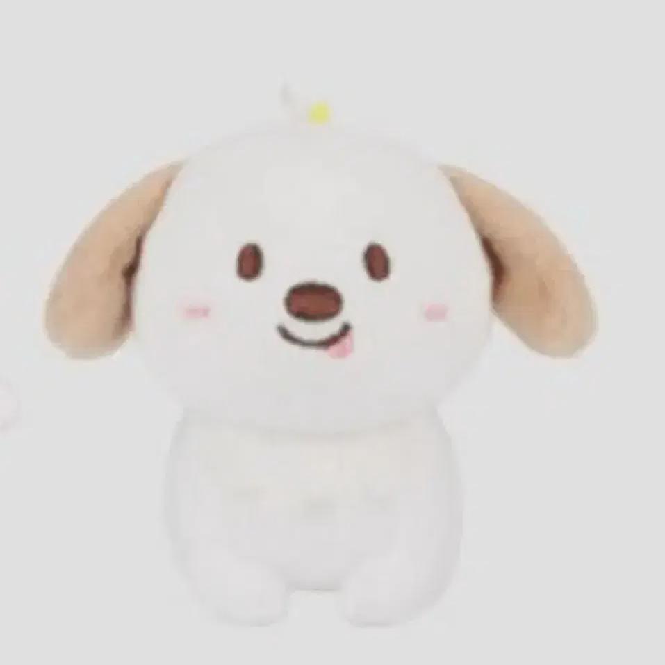 

Riize Chanyoung Dragon Doll Goods, Photocard On Sell