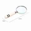 Classic Striped Handle Magnifying Glass Steel & Resin Design