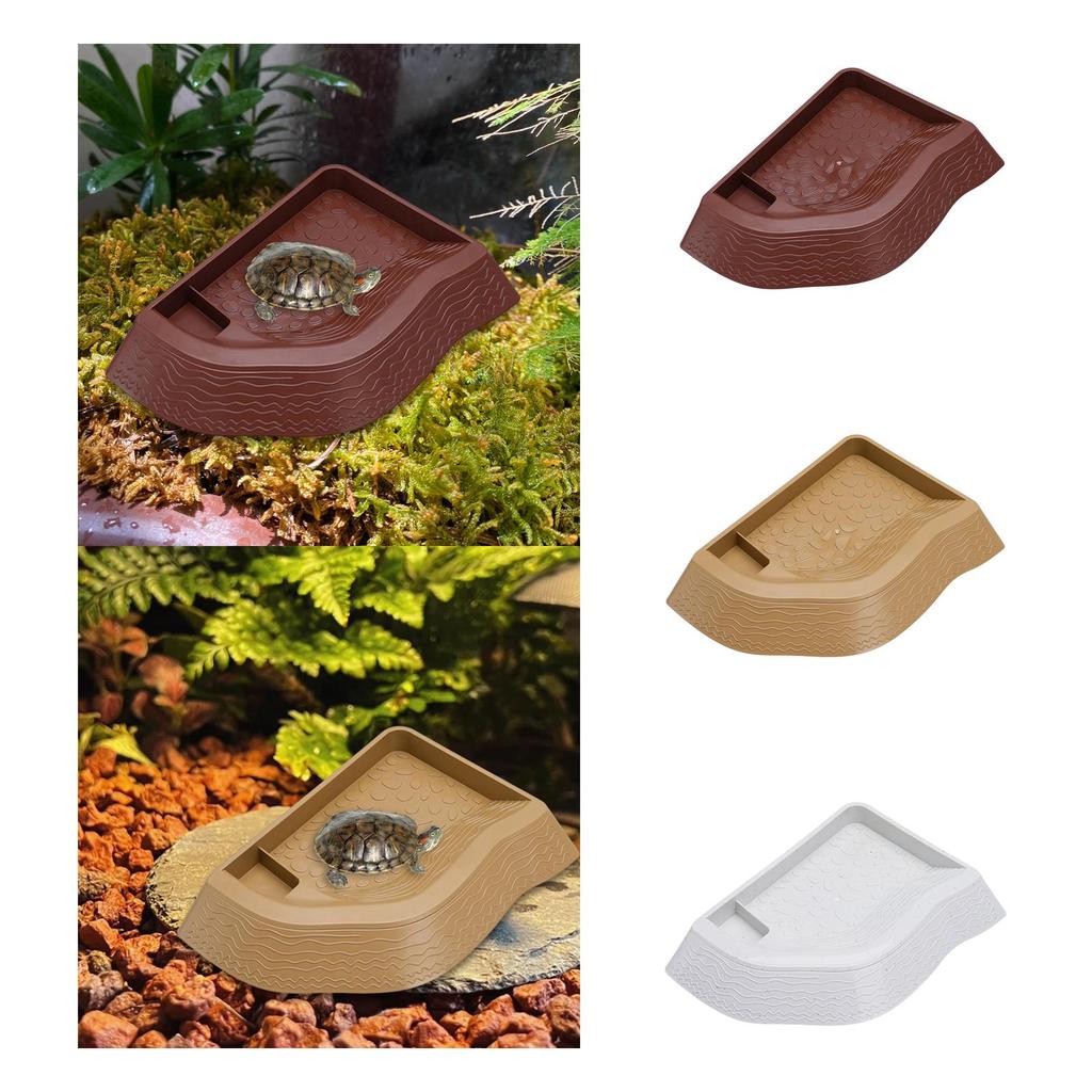 Turtle Bathing Pool, Reptile Water Bowl, Aquarium Ornament, Landscape Feeding Bowl, Turtle Feeder for Bearded Dragons,