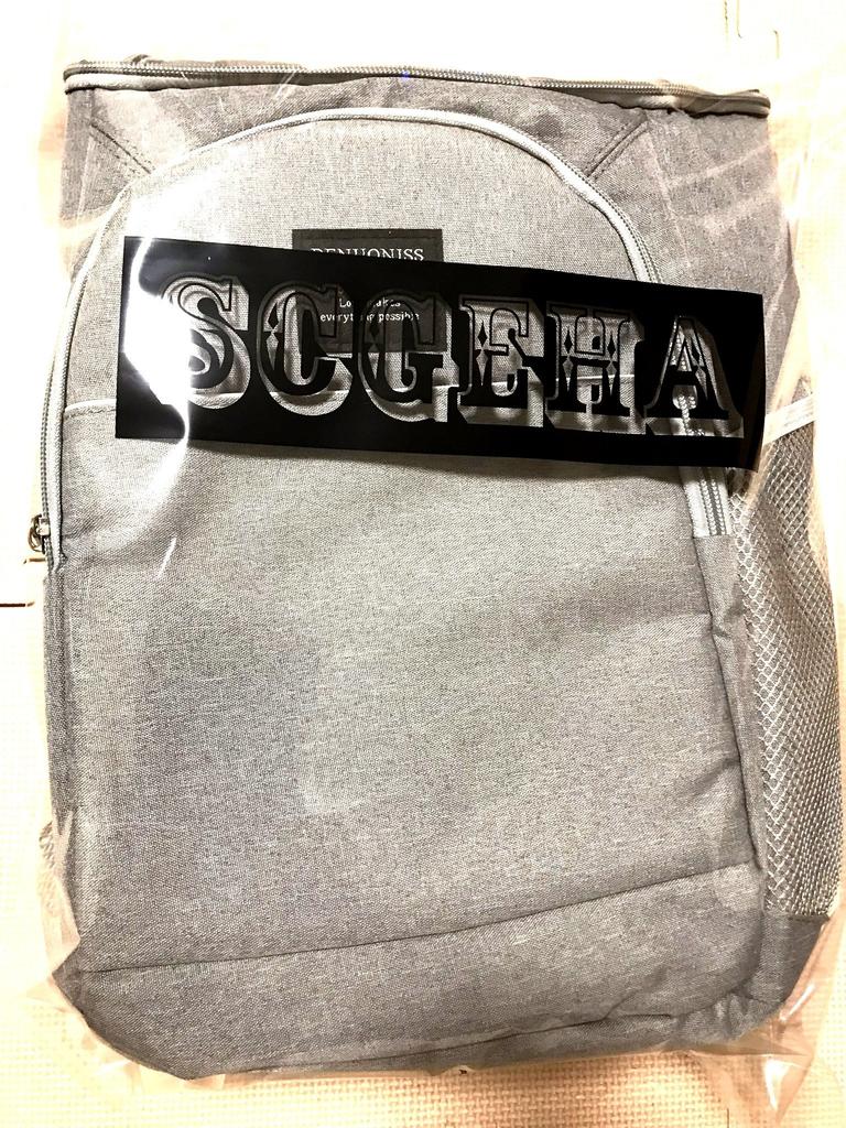 (SCGEHA) Insulated Backpack, Large Capacity, Cooler Bag, Waterproof, for Travel, Shopping, Hiking (Black)