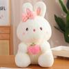 Super Cute Holding Fruit Rabbit Plush Doll Sitting Bunny Rag Doll Throw Pillow Girl Holding Sleeping Doll