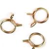 Plated Metal Fastener Air Tubing Tubing Spring Clamps Fuel Line Hose Clips Water Pipe Hose Clamp