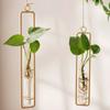 Home Decoration Flower Wall Vase Flower Nordic Test Tube Vases Clear Glass Container Wall Hanging Air Plant Flower Bottle Vase