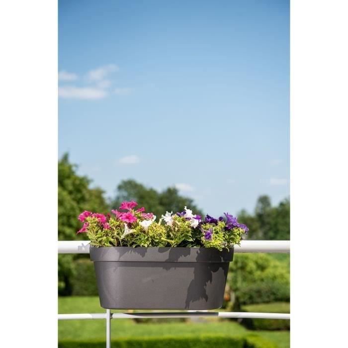 Planter+hook - GARDEN ID Star - Black-Anth 50 X 21 Cm - Easy Fixing - Water Reservoir - Recycled and 100% Recyclable