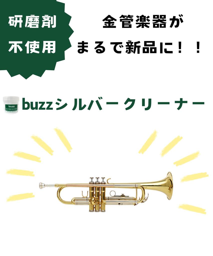 [Set] Buzz Silver Cleaner + Lifmo Storage Bag for Instrument Maintenance and Rust Prevention