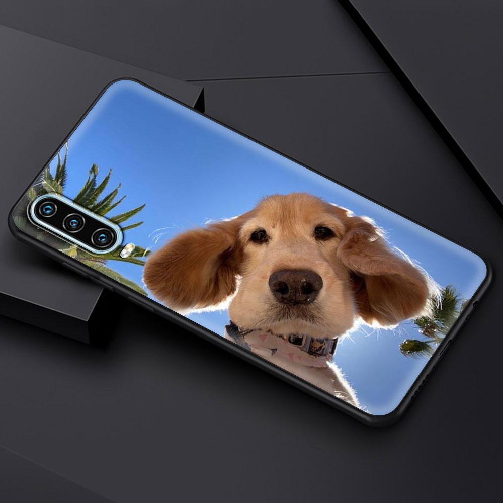 Golden Retriever Friend For Huawei P30 Lite Phone Case For Huawei P50 Pro P20 P40 Lite E P Smart Z 2021 Y6p Y9s Y7a 2019 Cover