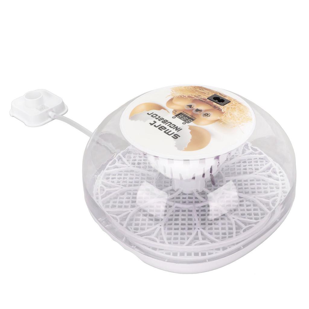 Egg Incubator Mini Automatic 12 Egg Hatcher with Fully Transparent Insulation Cover for Hatching