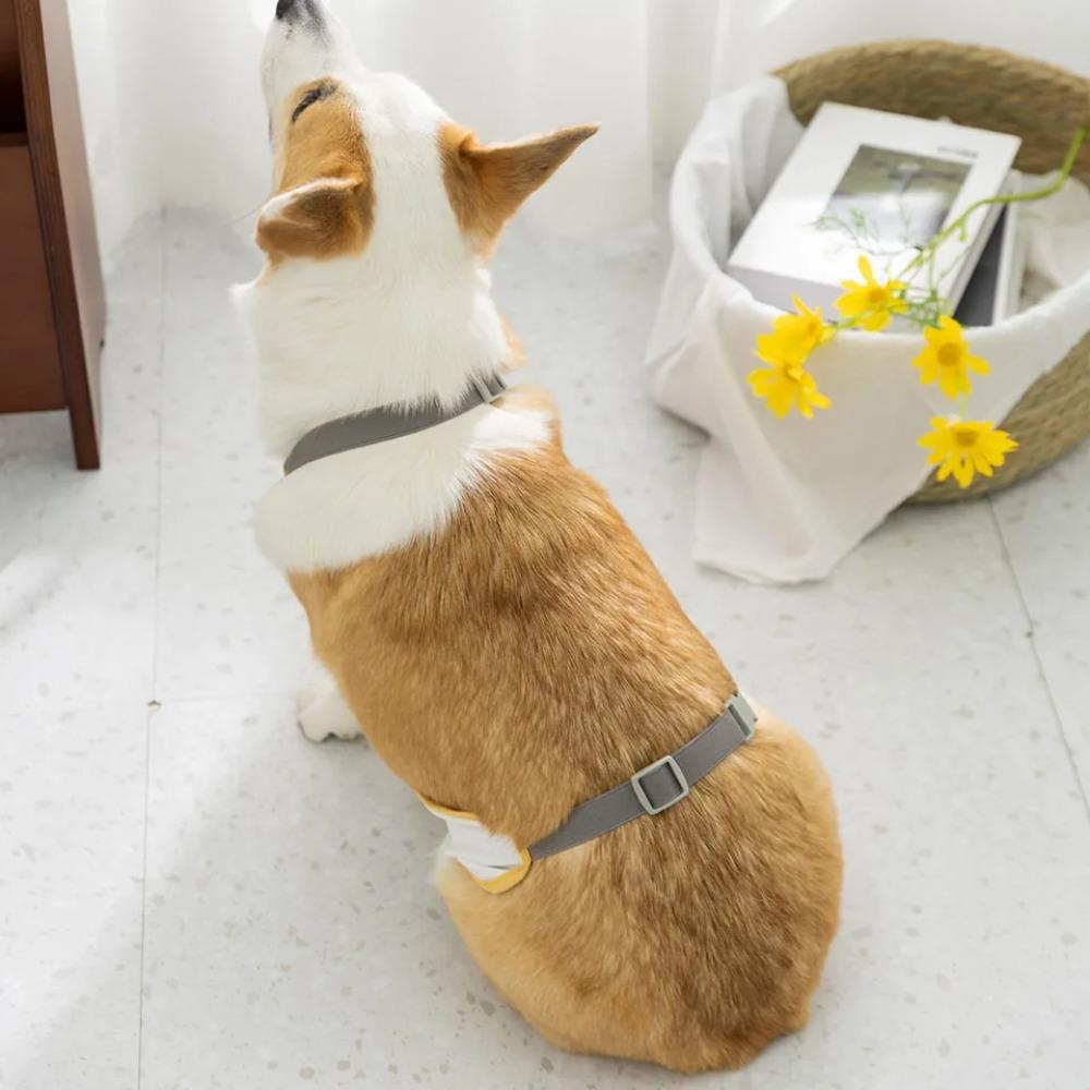 Anti-Dirty Corgi Belly Clothes Waterproof Dog Belly Cover Corgi Tummy Apron  Short Leg Dogs