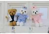 12cm Doctor/Nurse Teddy Bear Graduation Doll with Custom Logo - White Coat Pendant Souvenir