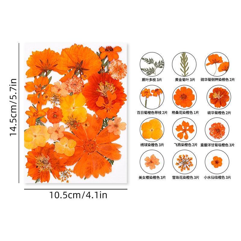 Halloween Theme Pressed Flower Kit for Resin Art Natural Real Pressed Orange Flower Leaves for DIY Epoxy Jewelry Bookmark