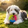 Bite Resistant Dog Toys for Aggressive Chewers Spiky Ring Toy, Rubber Chew Interactive Dental Cleaning Dogs Fetch And Teeth Toy Energy Consuming