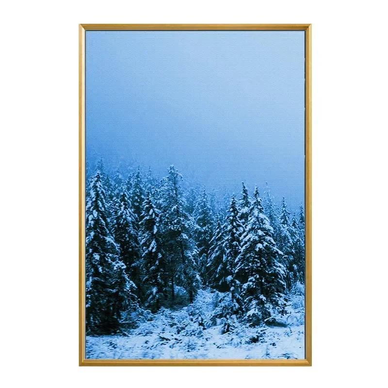 Nordisch Schlichte Wandkunst Blaues Pflanzenblatt Löwenzahn Sukkulente HD Leinwandgemälde Zuhause Wohnzimmer Schlafzimmer Dekorativ