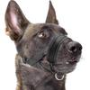 Hundemaulkorb Nylon Weiche Polsterung, Verstellbare Schlaufe, Schwarz