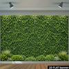 2D Minimalist Green Plant Wall White Tiny Bloom Photo Background
