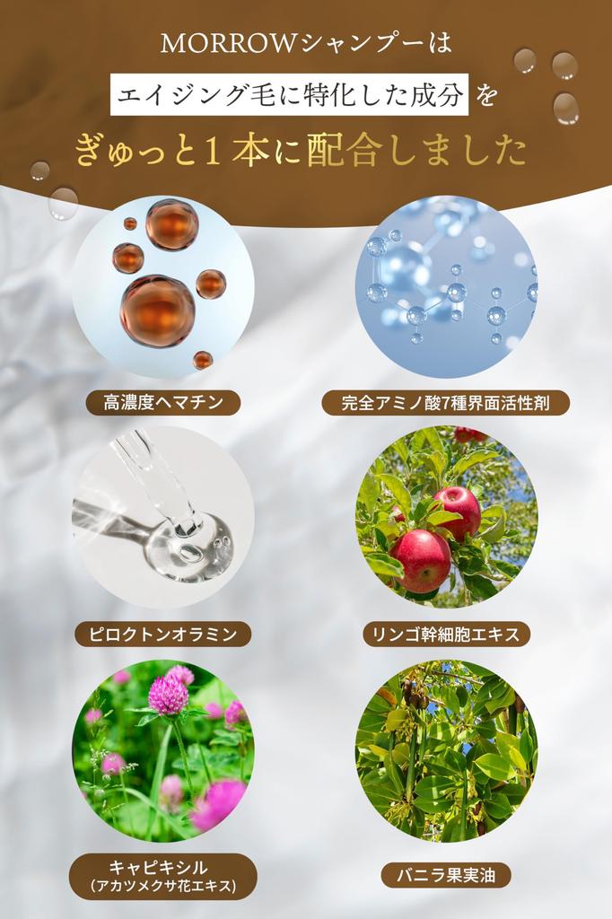 MORROW Hematin Shampoo Amino Acid Scalp Beauty Salon Men's [Aging Care]