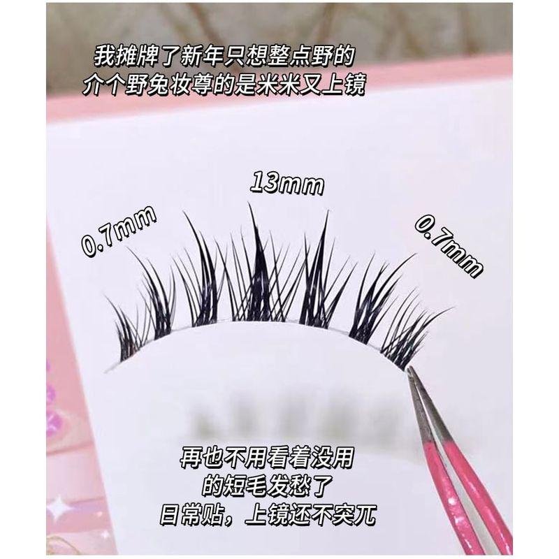 Aimo - 5-Pair Set: False Eyelashes