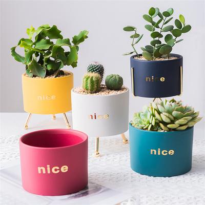 Nordischer Sukkulenten-Pflanztopf, Keramik-Blumentopf aus Kunststoff, Zylinder-Blumentöpfe für Kakteen mit Abflussloch, Heimdekoration