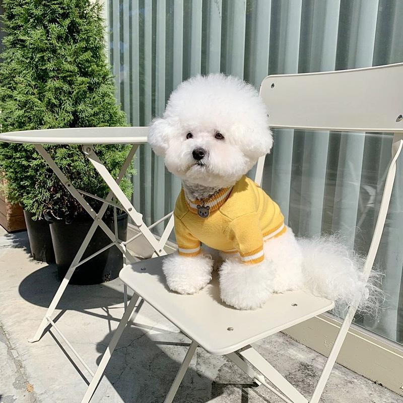 Pet Knitted Sweater Teddy Autumn And Winter Clothing Bichon Pomeranian Kitten Cat Yorkshire Warm Dog Clothes