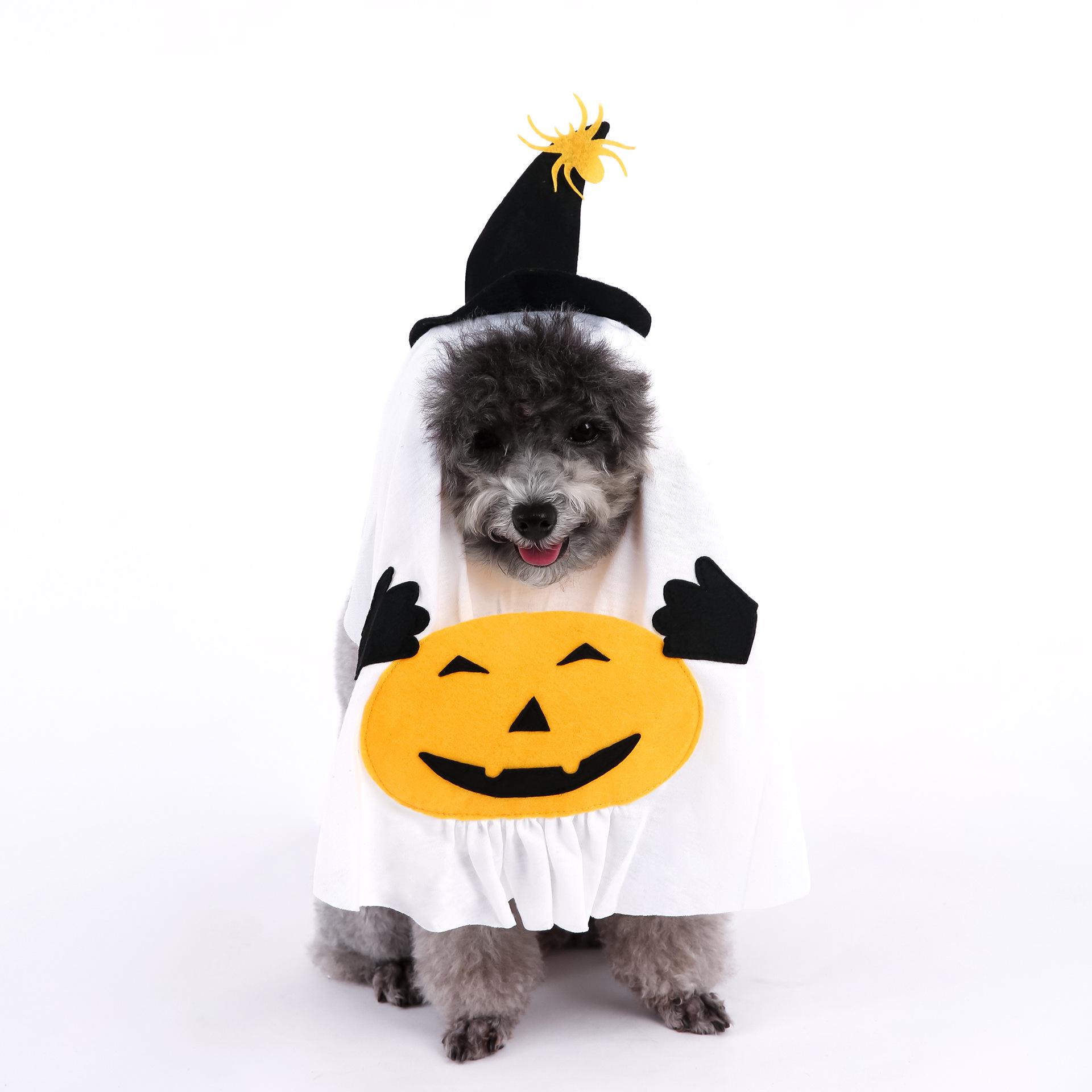 Тыквенная ведьма Костюм на Хэллоуин для маленьких и средних собак и кошек Small