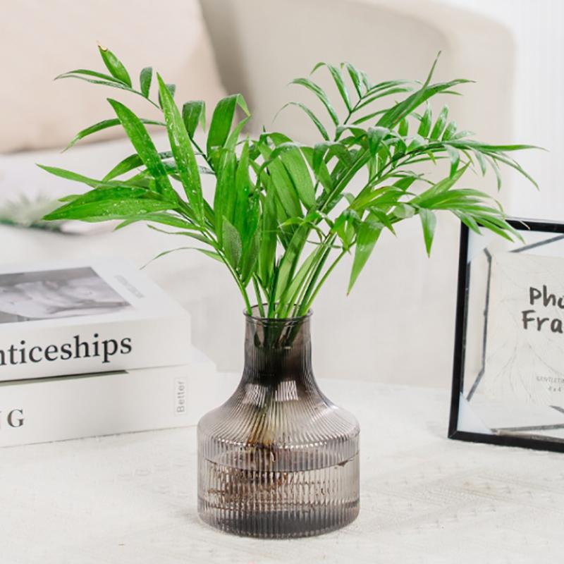 Hydroponic Flower Pot Home Vase Decoration Transparent Plastic Soilless Pot Green Pot Home Decoration